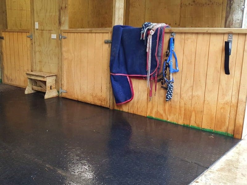 belmondo installed in a horse stable