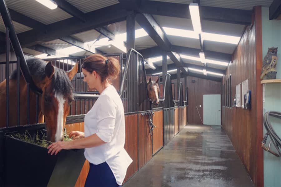 The benefits of rubber mats for your horse stable Numat Equine Rubber