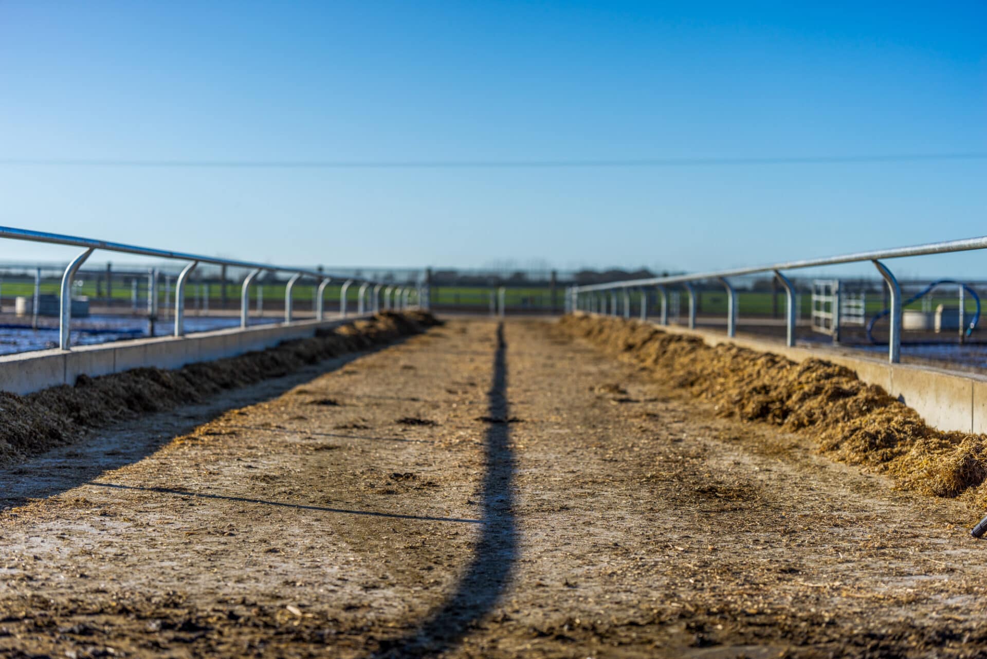 Borrie's Feed Pad An Innovative Approach to Feed Pad Design and Construction NumatAGRI NZ