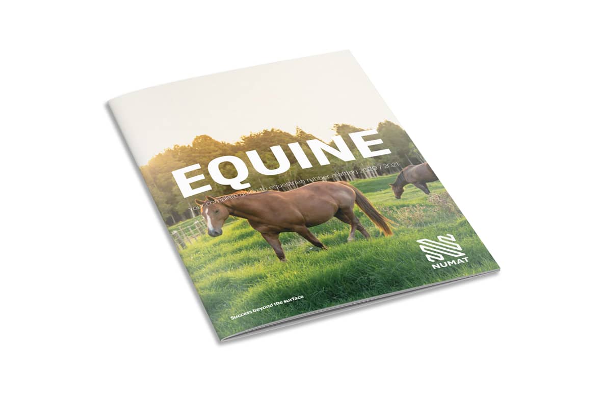 Equine_Catalogue_Render_White_BckGrnd